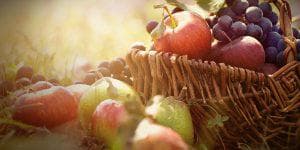 Have a ‘Fruit’ful Summer