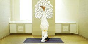 Sirsasana (Head Stand)