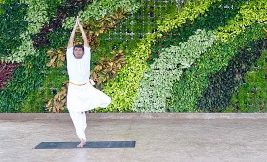Yoga in Dharampur Town