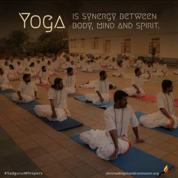 Yoga is synergy between body, mind and spirit.