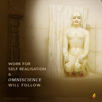 Work for Self realisation & Omniscience will follow.