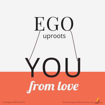 Ego uproots you from love.