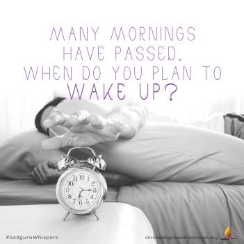 Many mornings have passed. When do you plan to wake up?